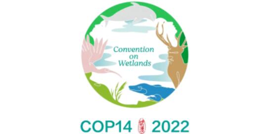 COP14大会标志公布，以中国传统玉璧为造型，内嵌四种濒危动物